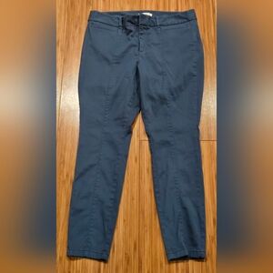 LOFT Cotton Petite Blue Pants